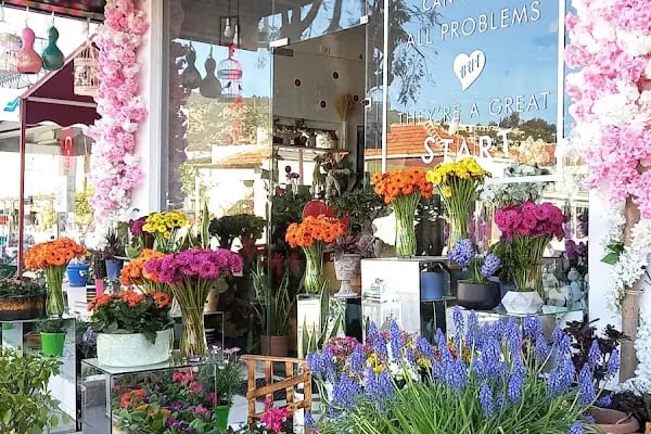 Fenix Flower / Yalikavak Florist / Yalikavak Çiçek - Resim 11
