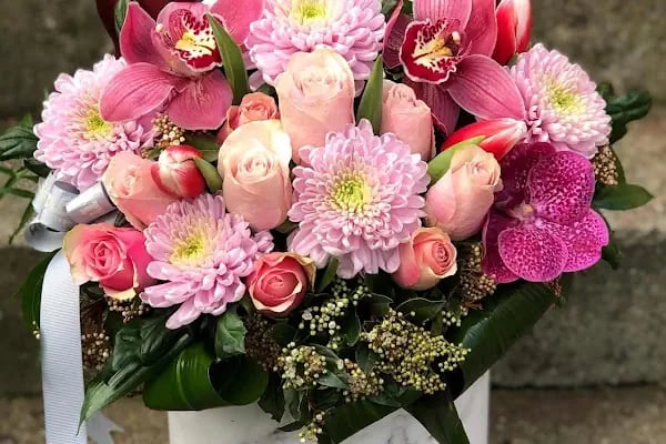Fenix Flower / Yalikavak Florist / Yalikavak Çiçek - Resim 7