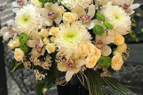 Fenix Flower / Yalikavak Florist / Yalikavak Çiçek - Resim 19