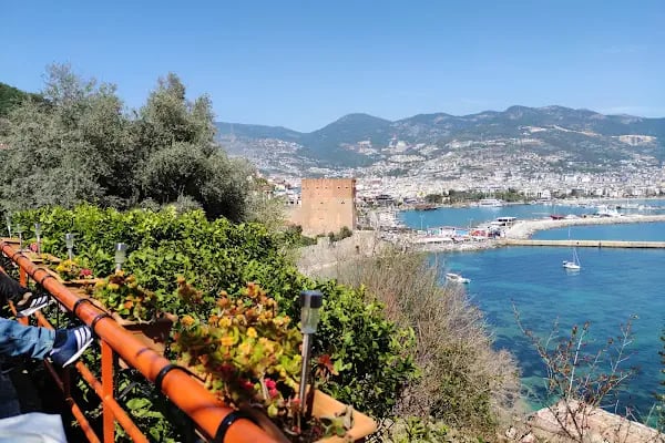 Alanya Real Estate - Resim 14