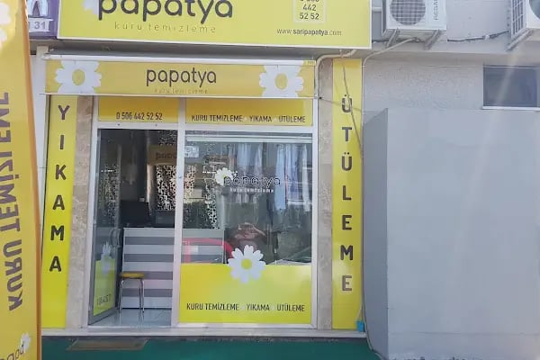 Bursa Papatya Kuru Temizleme DOSAB Şube - Resim 3