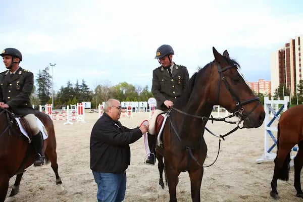 Ankara Atlı Spor Aktiviteleri Binicilik Okulu - Resim 1