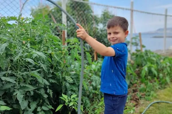 Özel Söğütlü Yeni Dünya Kreş Ve Anaokulu - Resim 14