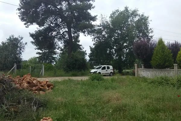 Veli Manav Parkı - Resim 8