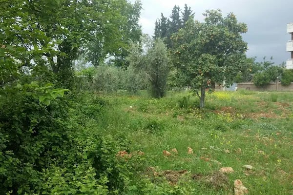 Veli Manav Parkı - Resim 13