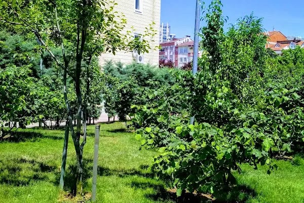İmam-ı Gazali Camii - Resim 14