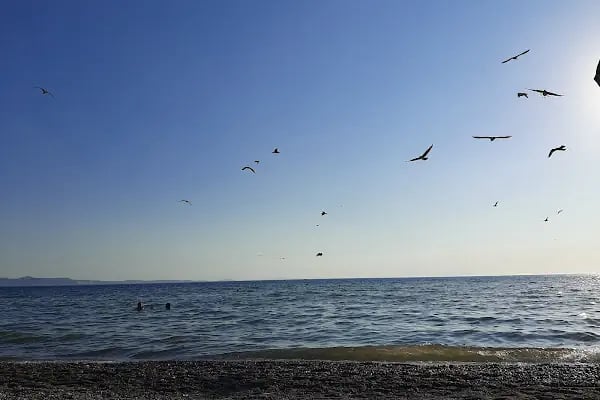 Altınkum Plajı - Resim 15