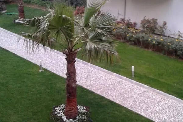 NUREM İNŞAAT ESEN HOUSE - Resim 19