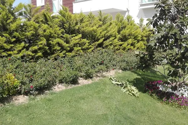 NUREM İNŞAAT ESEN HOUSE - Resim 2