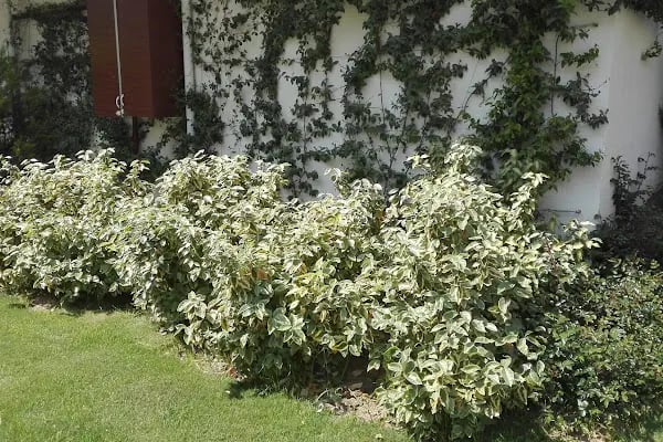 NUREM İNŞAAT ESEN HOUSE - Resim 15