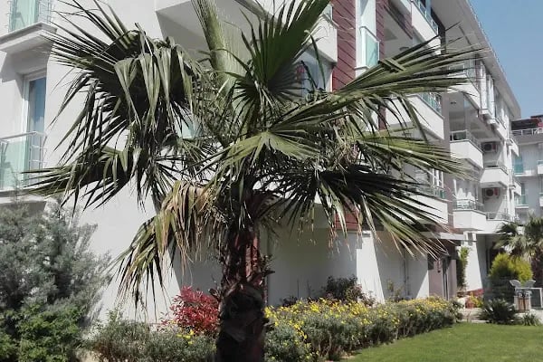 NUREM İNŞAAT ESEN HOUSE - Resim 4