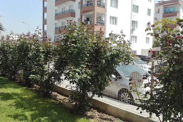 NUREM İNŞAAT ESEN HOUSE - Resim 14