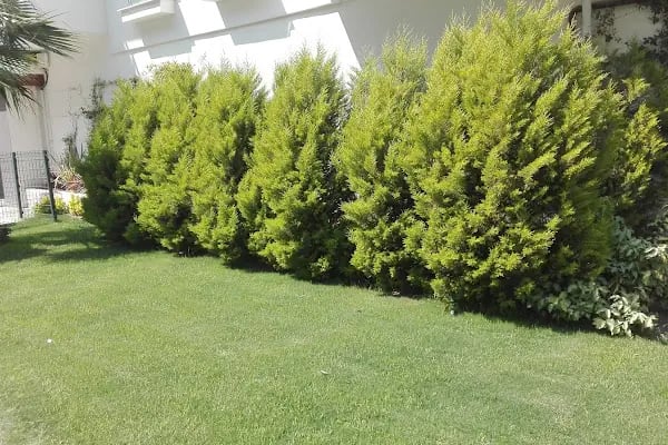NUREM İNŞAAT ESEN HOUSE - Resim 11