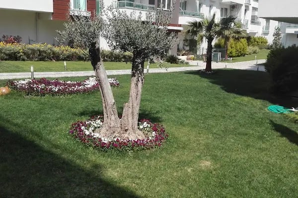 NUREM İNŞAAT ESEN HOUSE - Resim 9