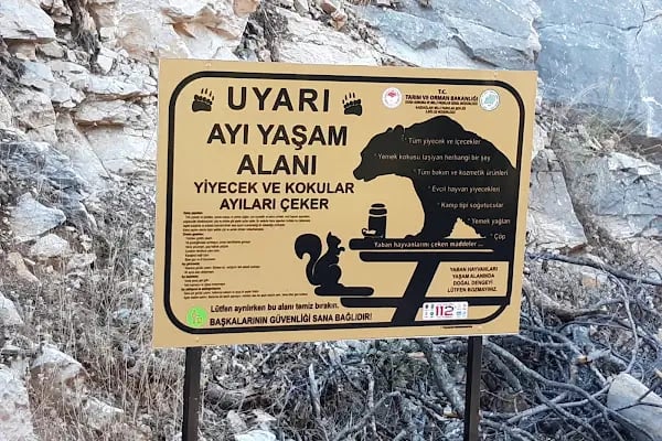 Altınoluk Cam Teras - Resim 19