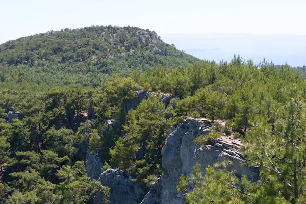 Altınoluk Cam Teras - Resim 2