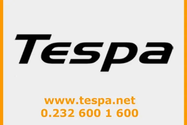 Tespa Dalgıç Pompa Su Sondajı Hidrofor Santrifüj Su Kuyusu - Resim 9