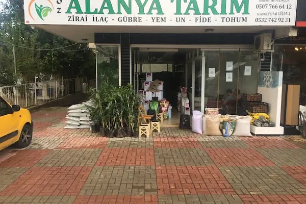 ALANYA TARIM - Resim 17