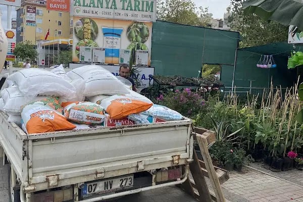 ALANYA TARIM - Resim 4