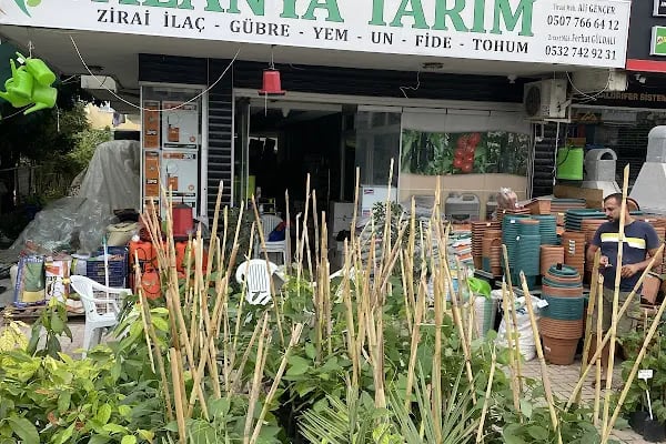 ALANYA TARIM - Resim 18