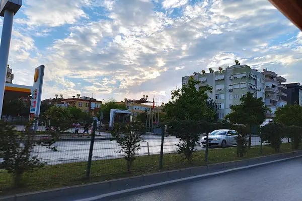 ALANYA TARIM - Resim 6