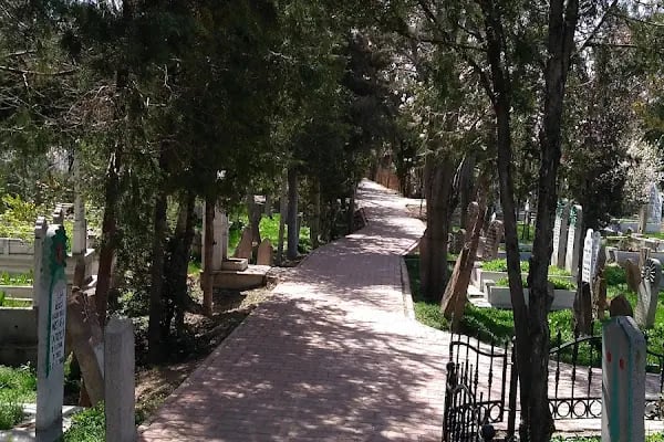Gömeç Hatun Türbesi - Resim 14