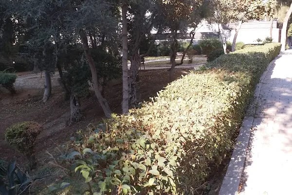 Kolej Parkı - Resim 8