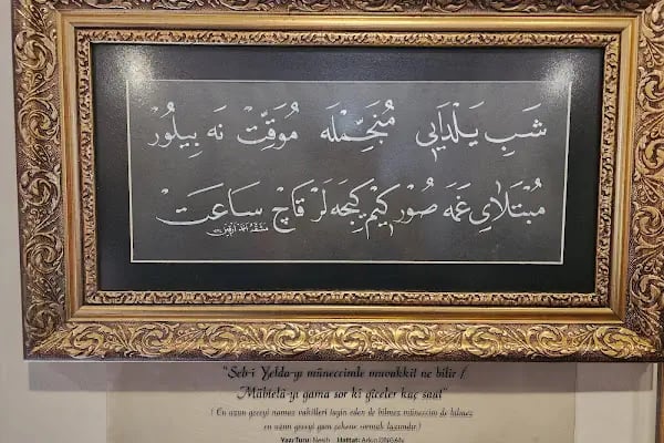 Manisa Celal Bayar Üniversitesi Ayşe Hafsa Sultan Tıp Tarihi Müzesi - Resim 14