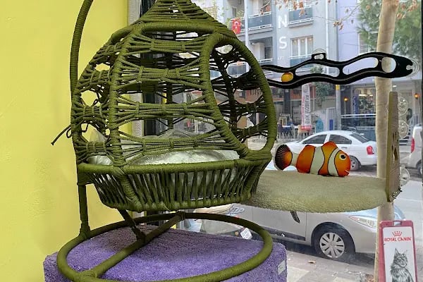 Darling Petshop Denizli - Resim 17