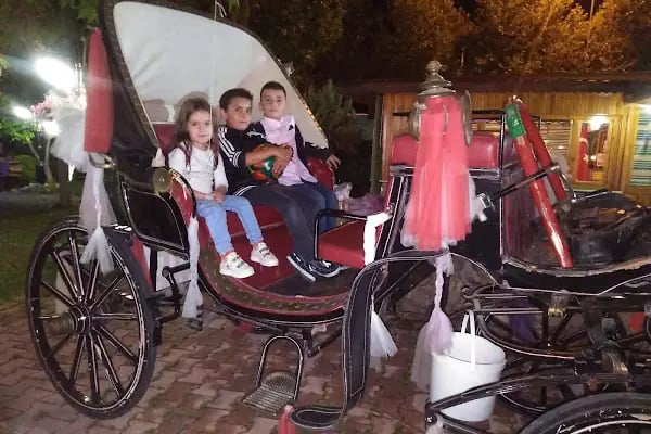 Bizim Ora Kır Düğün Bahçesi - Resim 18