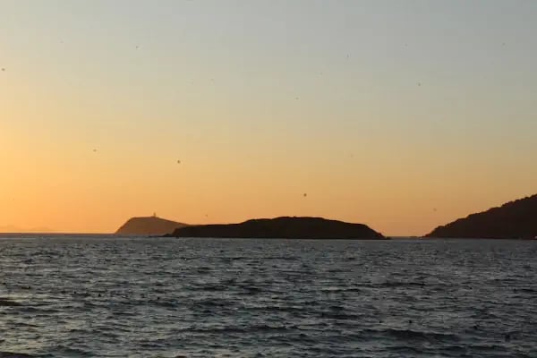 Codeks Adası - Resim 5