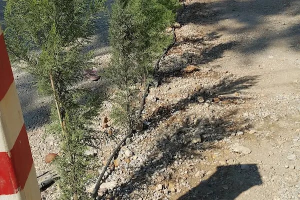 Çınar Otopark Oto Yıkama - Resim 11