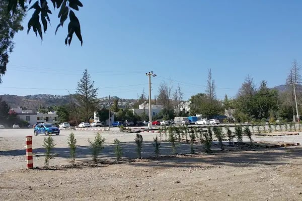 Çınar Otopark Oto Yıkama - Resim 19