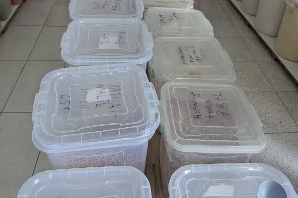 Özgürcanlar Un ve Yem - Resim 6