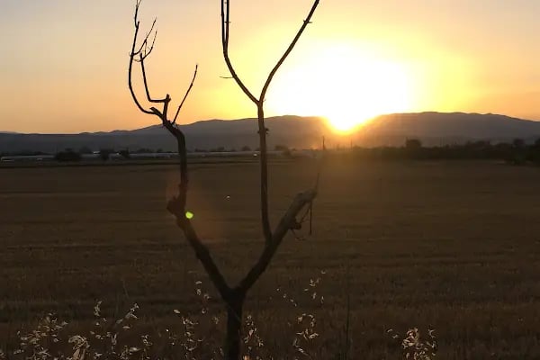 Özgürcanlar Un ve Yem - Resim 1