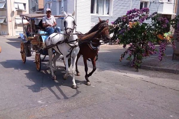 Yıldız Pide Salonu - Resim 6
