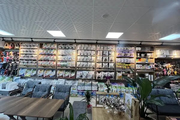 Doctor House Petshop - Resim 5
