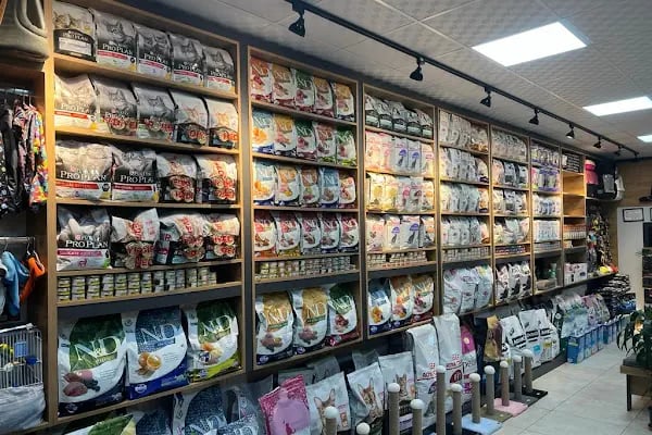Doctor House Petshop - Resim 13