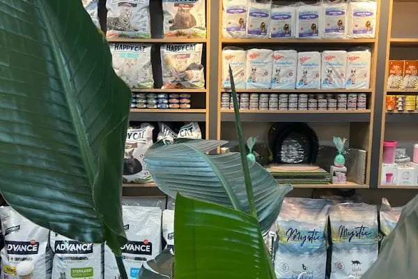 Doctor House Petshop - Resim 20