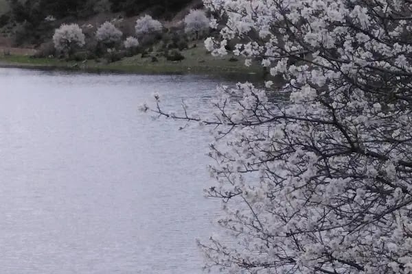Beypazarı Depelarkası Kayışın Göl - Resim 12