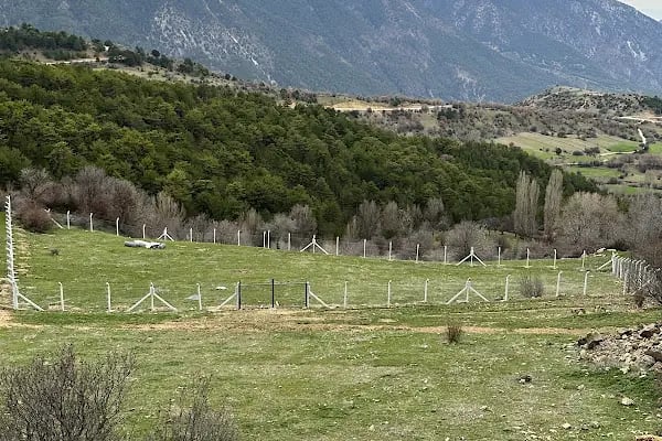 Beypazarı Depelarkası Kayışın Göl - Resim 6