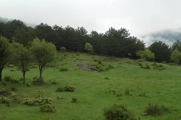 Beypazarı Depelarkası Kayışın Göl - Resim 9