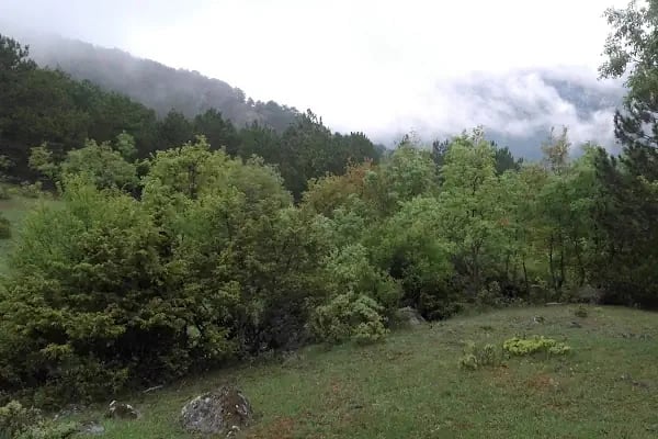 Beypazarı Depelarkası Kayışın Göl - Resim 5