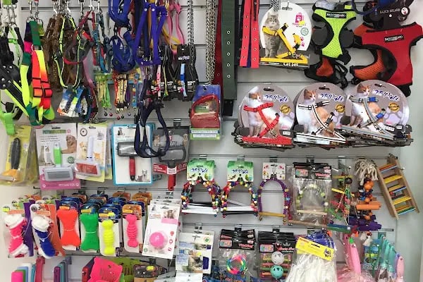 Tospik Petshop - Resim 10