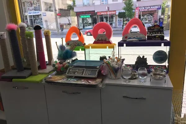 Tospik Petshop - Resim 3