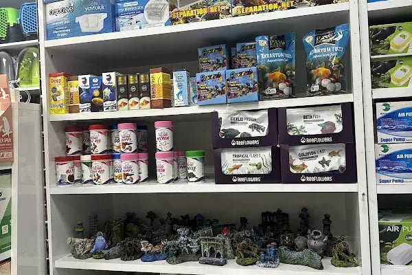 Tospik Petshop - Resim 8