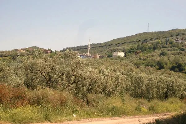 Gençali Köyü Cami - Resim 8