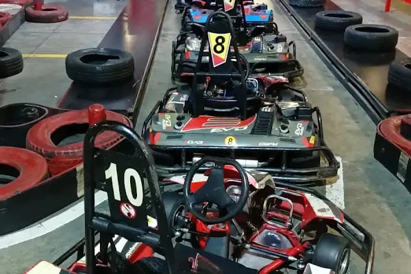 Pelikan Gokart Pelican AVM - Resim 8