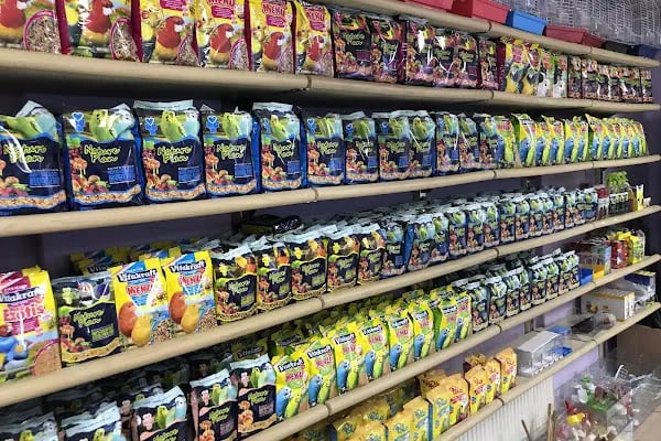 Blue Water Pet Shop - Resim 8