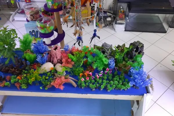 Blue Water Pet Shop - Resim 18
